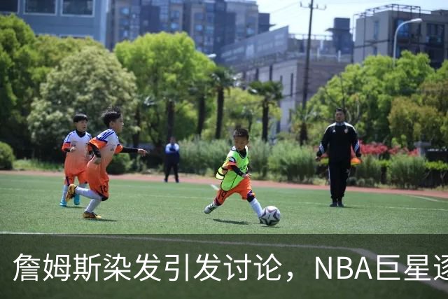 詹姆斯染发引发讨论，NBA巨星逐渐步入老年